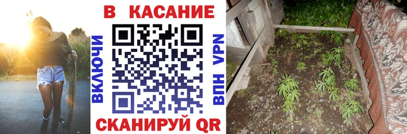 Купить наркотик аптеки Сосновоборск Гашиш  СК  блэк спрут вход  Кетамин  Cocaine  МЕТАДОН  Мефедрон  Каннабис  АМФ  Галлюциногенные грибы 