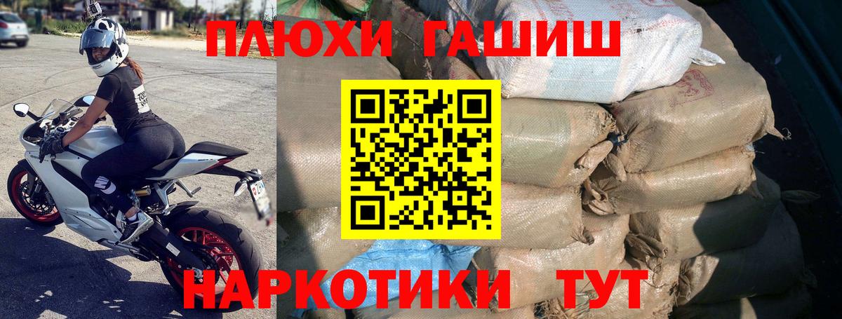 ГАШ индика сатива  ГАШ  Гашиш hashish  что такое наркотик  Вход с VPN  Сосновоборск 