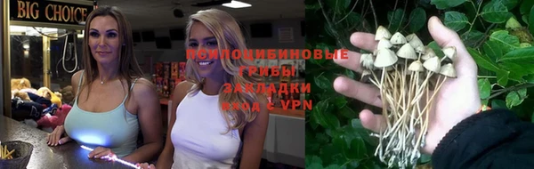 ALPHA PVP Алексеевка