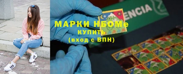 сатива Алзамай
