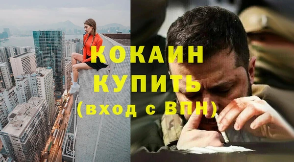 сатива Алзамай