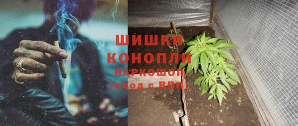 сатива Алзамай