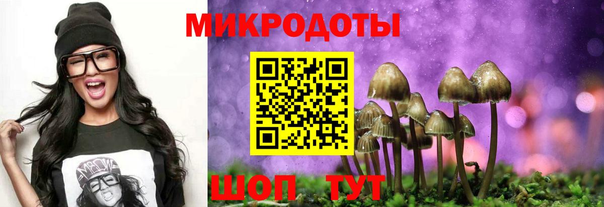 Галлюциногенные грибы Magic Shrooms  Вход с VPN  Псилоцибиновые грибы мицелий  Сосновоборск 